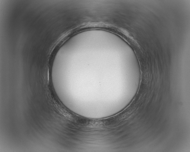 X0000075371221200610061804