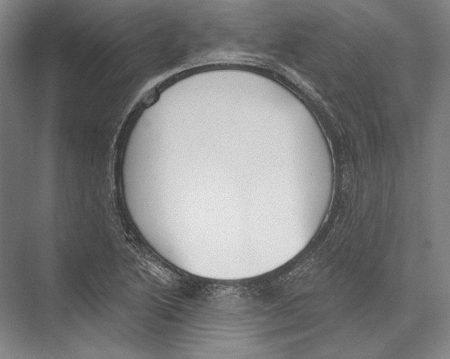 X0000075371222200610061804