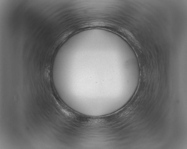 X0000075371225200610061804