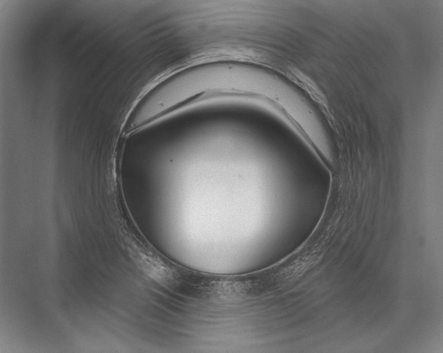 X0000075371226200610061804