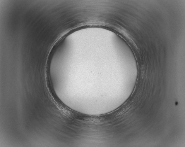 X0000075371229200610061804