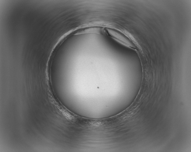 X0000075371230200610061804