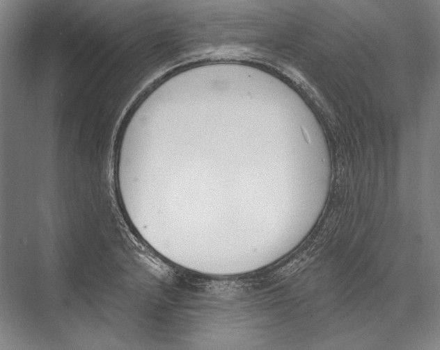 X0000075371232200610061804