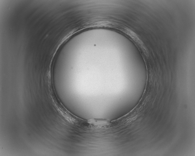 X0000075371234200610061804