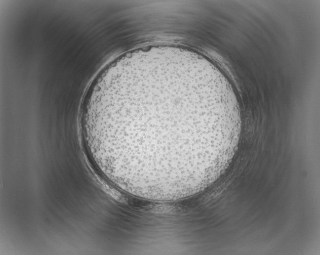 X0000075371235200610061804