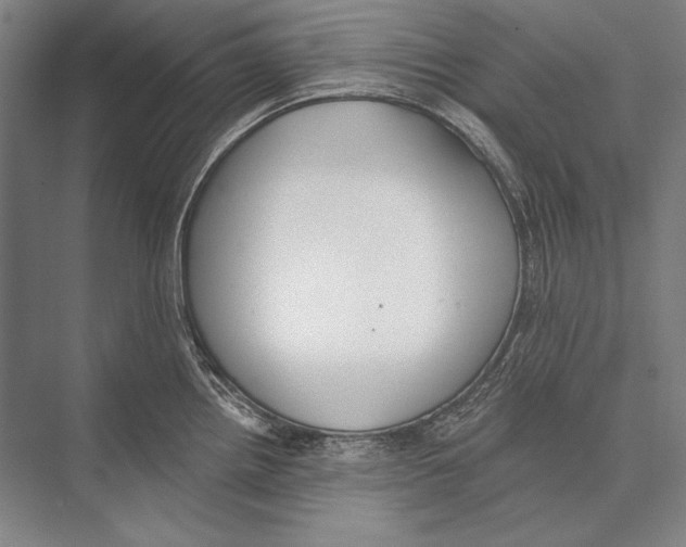 X0000075371242200610061804