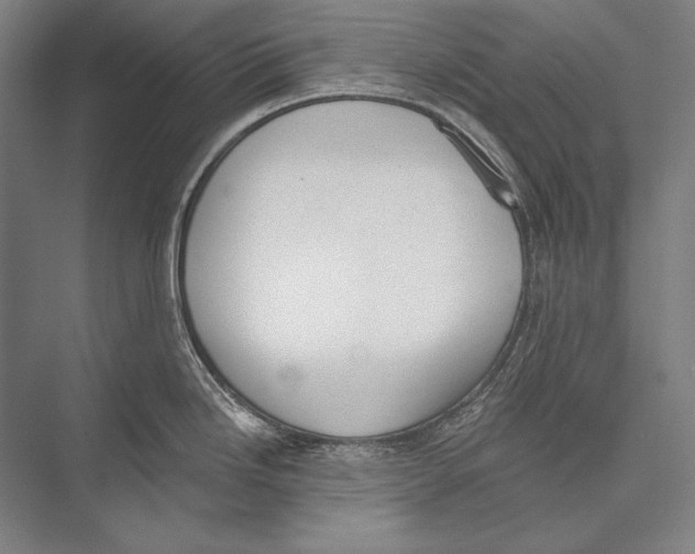 X0000075371246200610061804