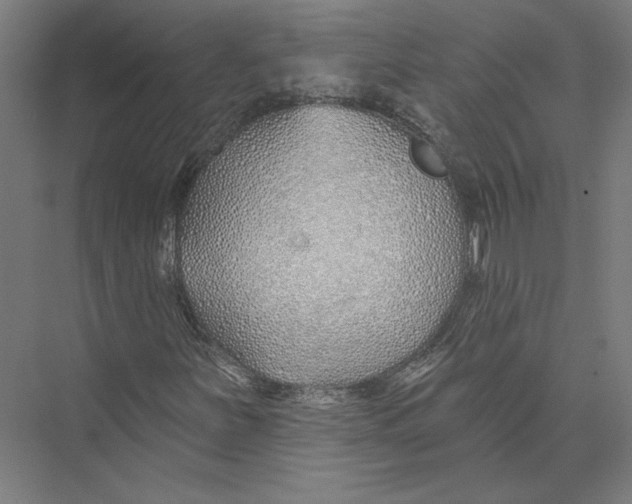 X0000075371251200610061804