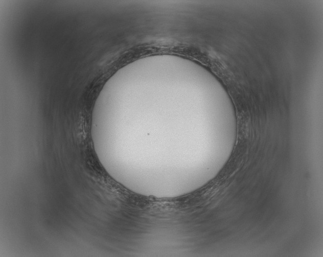X0000075371253200610061803