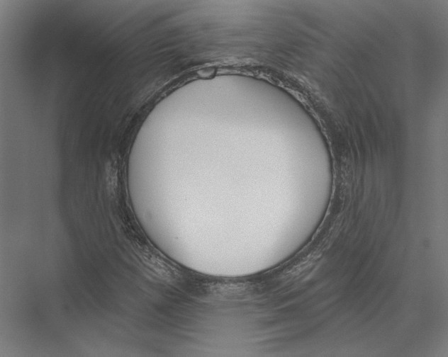 X0000075371257200610061803
