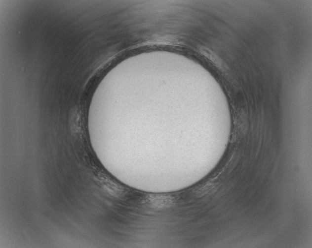 X0000075371258200610061803