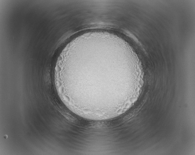 X0000075371259200610061803