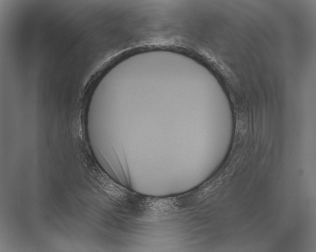 X0000075371262200610061803