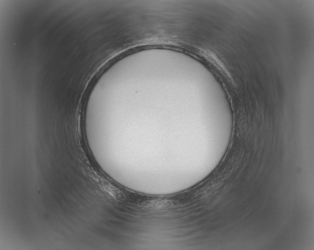 X0000075371268200610061803