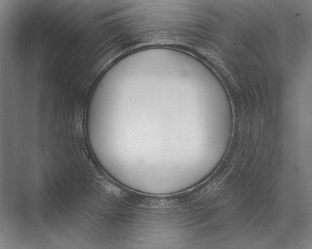 X0000075371273200610061803