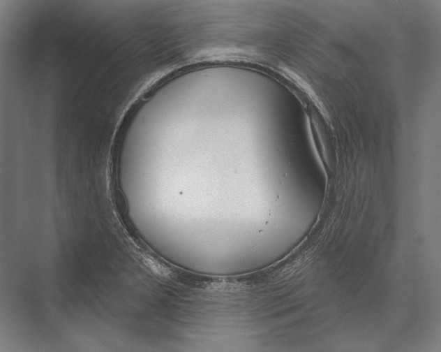 X0000075371277200610061803