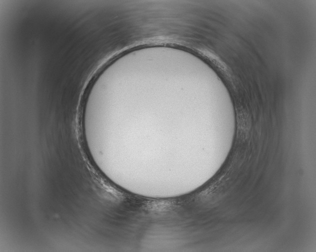 X0000075371278200610061803