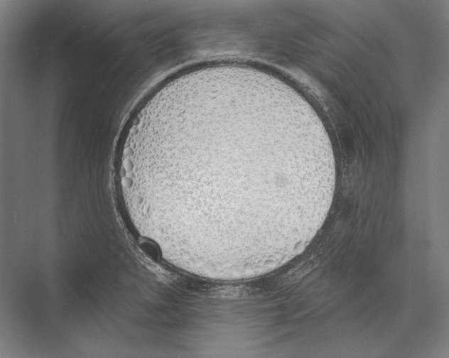 X0000075371279200610061803