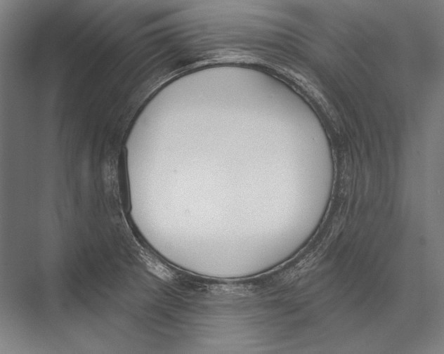 X0000075371281200610061803