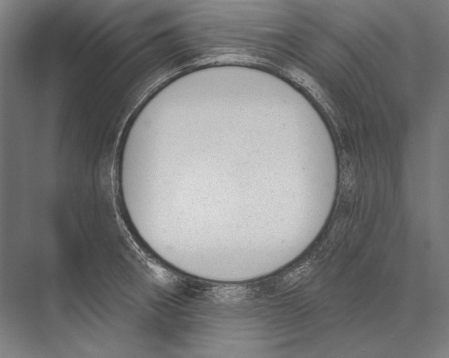 X0000075371282200610061803