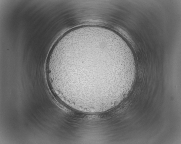 X0000075371283200610061803