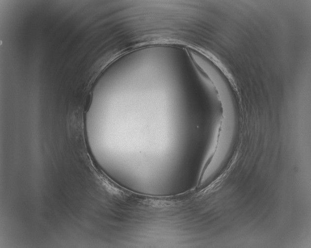 X0000075371289200610061803