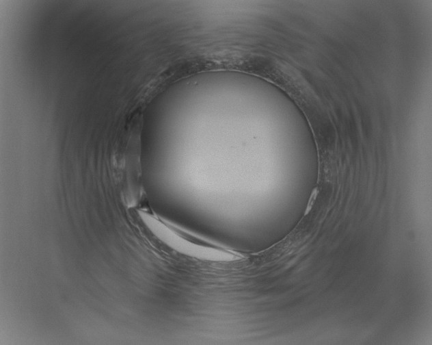 X0000075371298200610061802