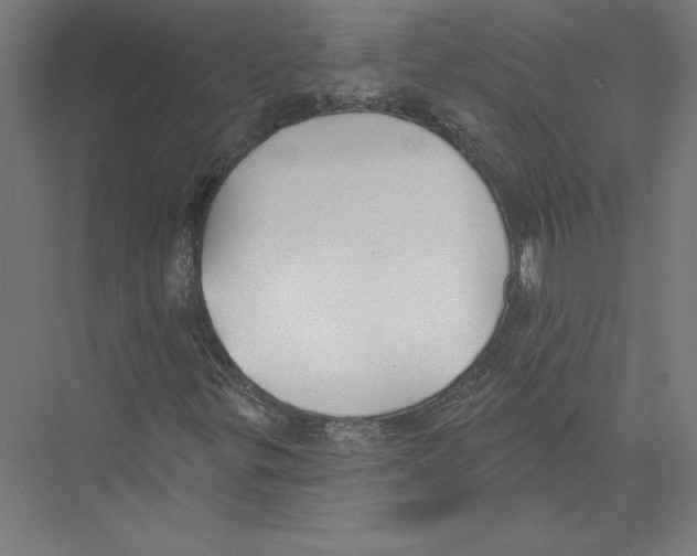 X0000075371299200610061802