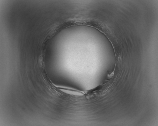 X0000075371300200610061802