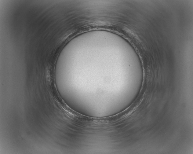 X0000075371305200610061802