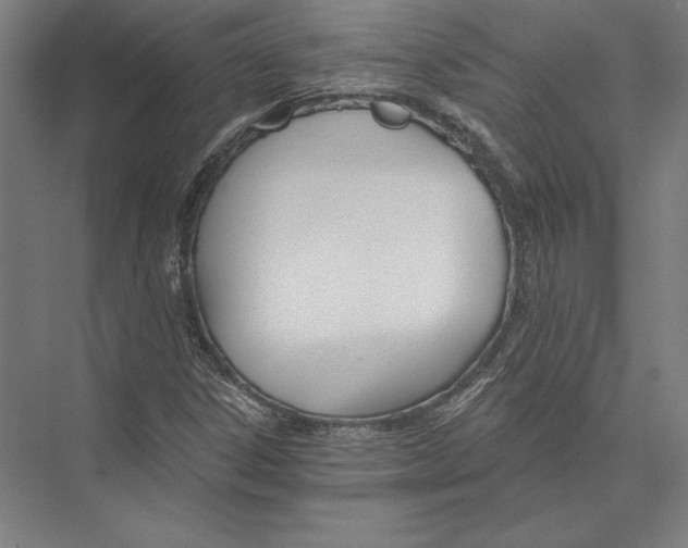 X0000075371306200610061802