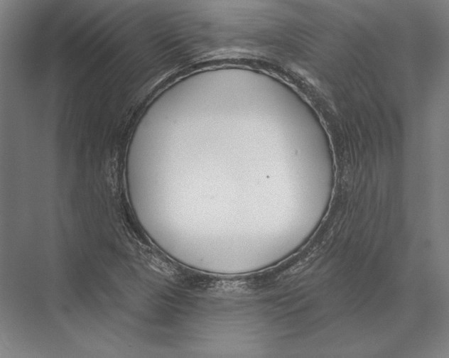 X0000075371313200610061802
