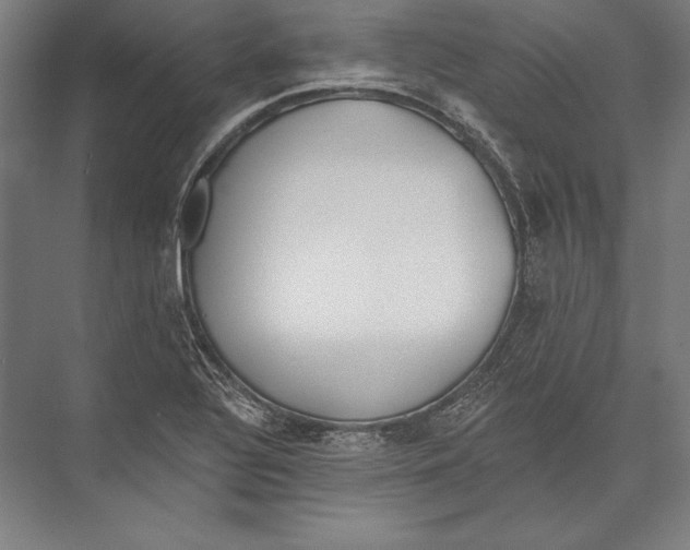 X0000075371320200610061802