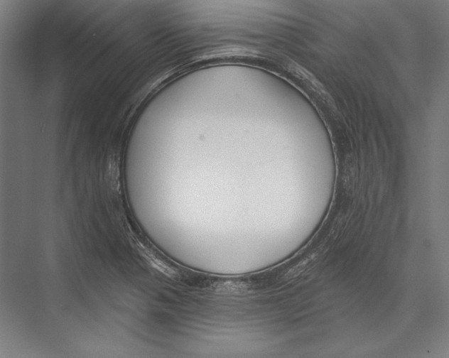 X0000075371321200610061802