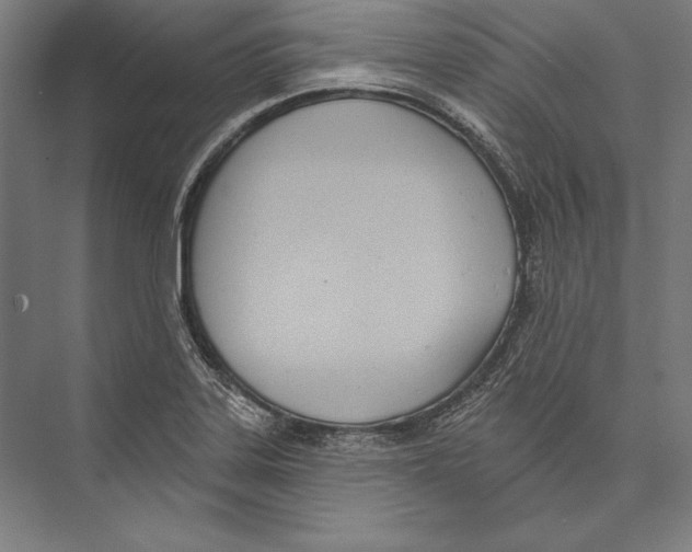 X0000075371323200610061802
