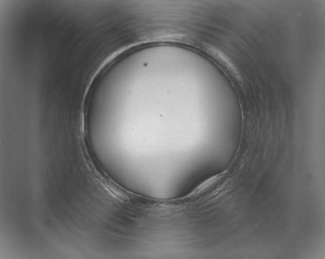 X0000075371324200610061802