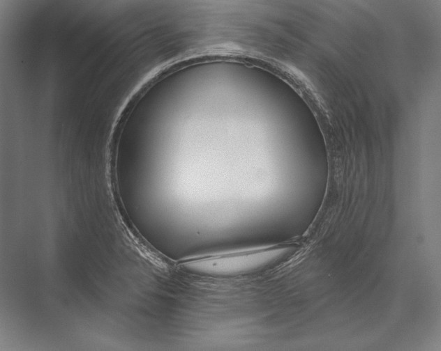 X0000075371326200610061802