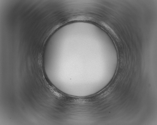 X0000075371329200610061803