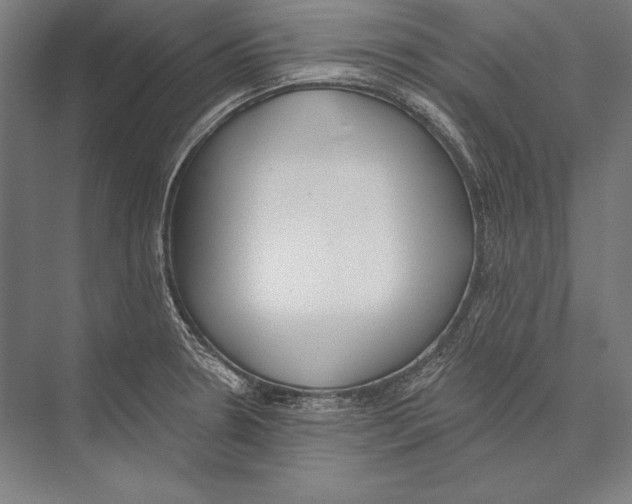 X0000075371330200610061803