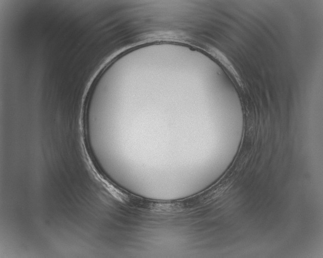 X0000075371339200610061803