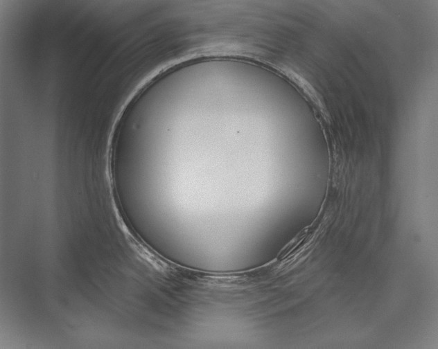 X0000075371342200610061803