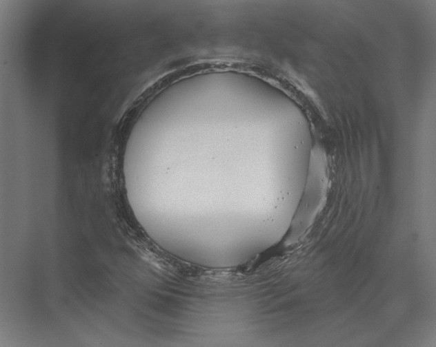 X0000075371352200610061802