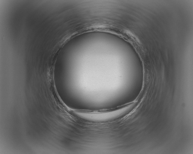 X0000075371353200610061802