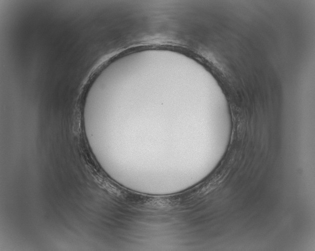 X0000075371358200610061802