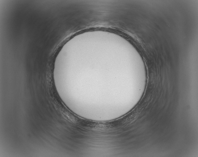 X0000075371359200610061802