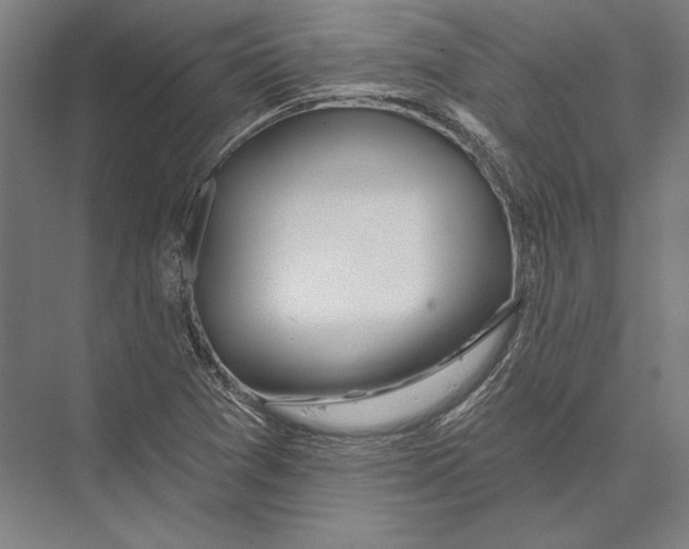 X0000075371361200610061802