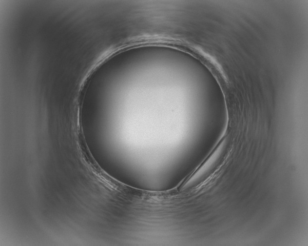 X0000075371365200610061802