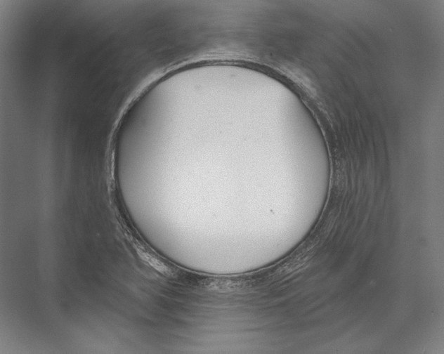 X0000075371366200610061802