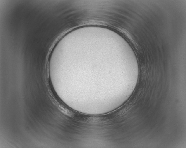 X0000075371371200610061802