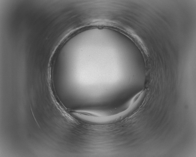 X0000075371376200610061801